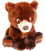 koda18zoll